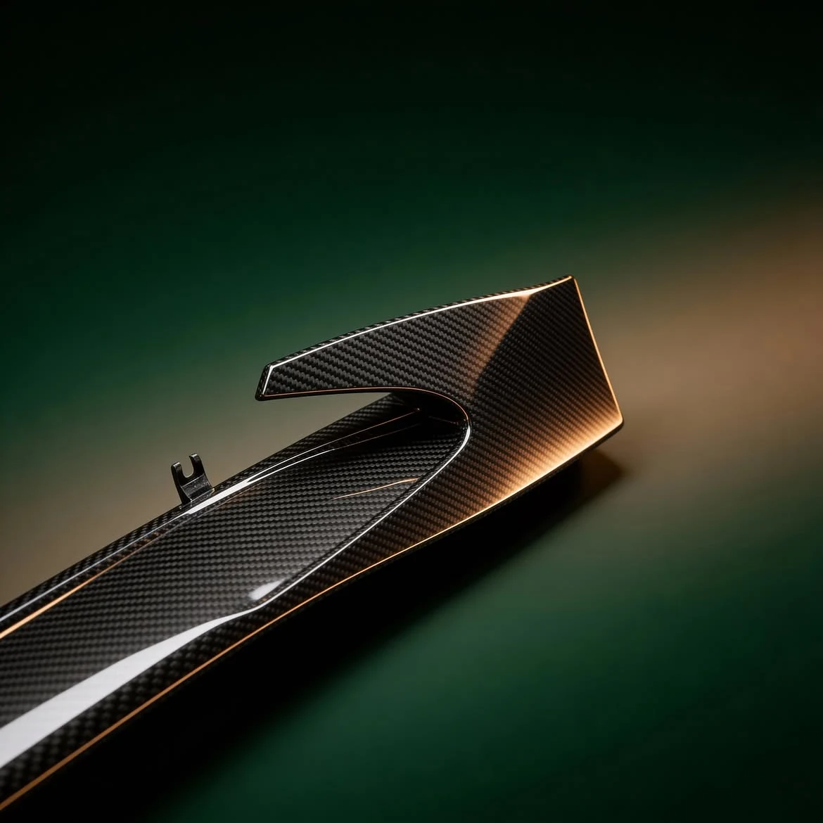Carbon Side Skirt